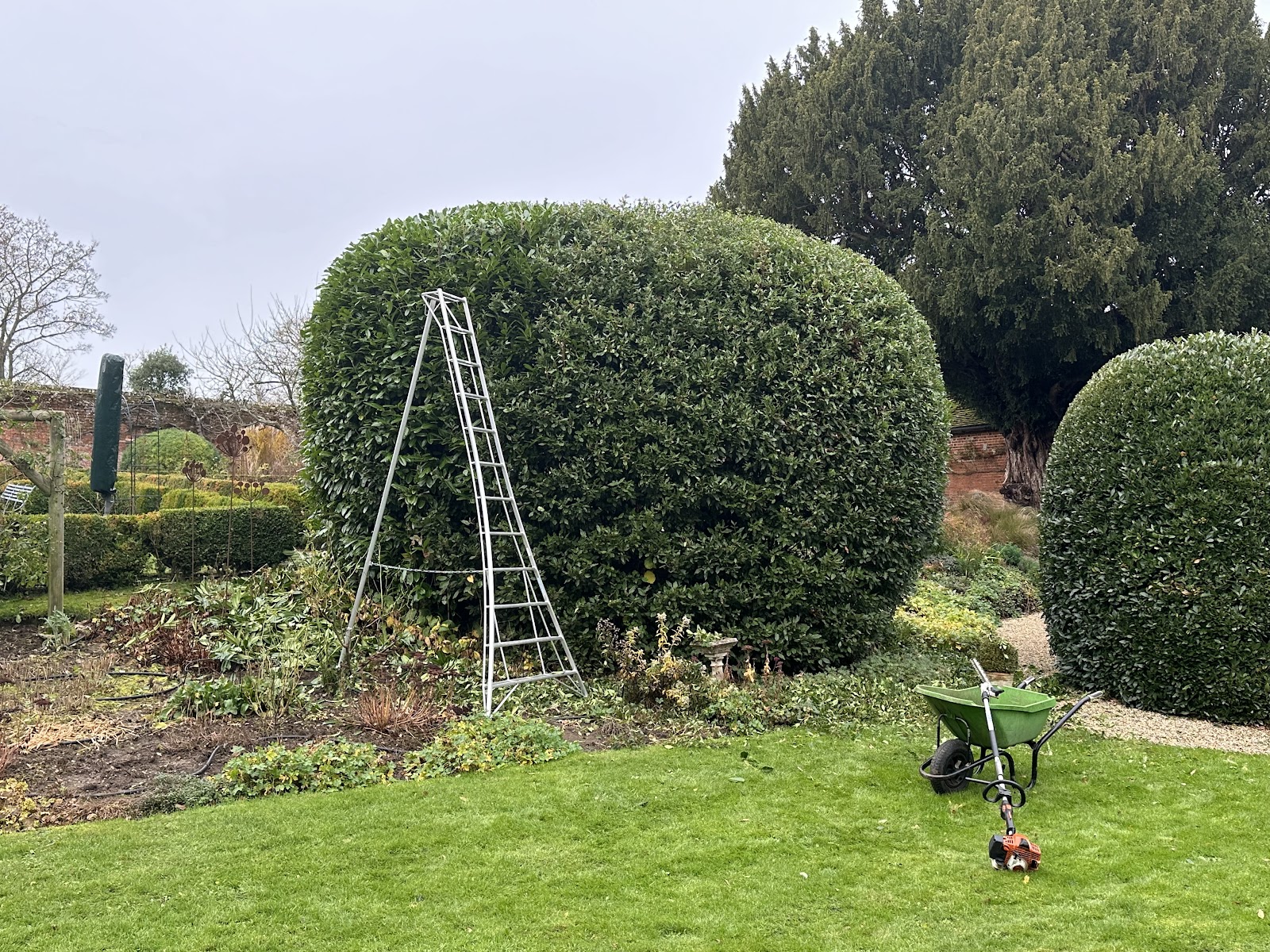 A ladder, wheelbarrow and strimmer beside a topiary bush being trimmed