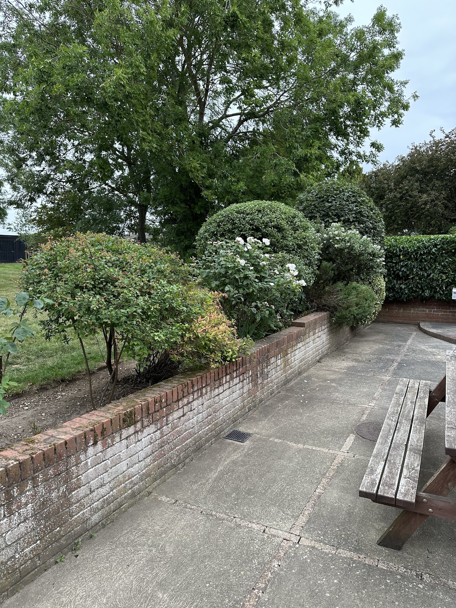 A tidy Ipswich garden with clipped topiary, planted borders and a swept patio maintained by Greenleaf Garden Services
